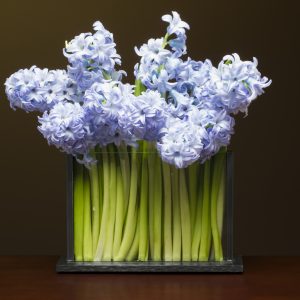 Horizontal H3 Vase