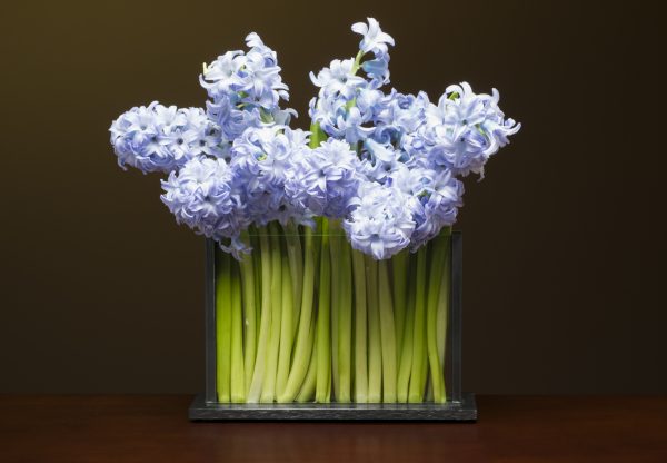 Horizontal H3 Vase