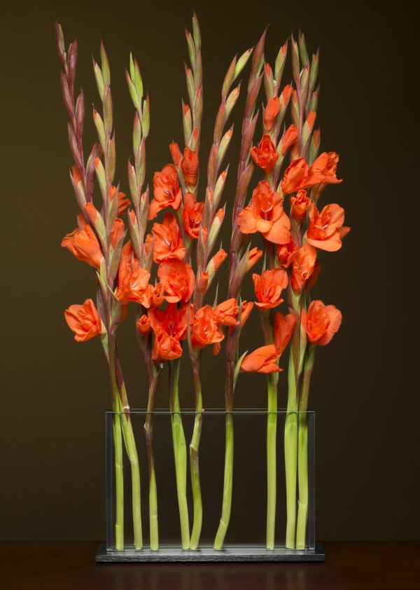 Horizontal H4 Vase