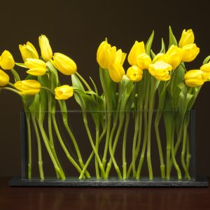 Horizontal H5 Vase
