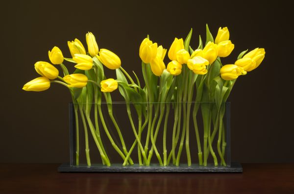 Horizontal H5 Vase